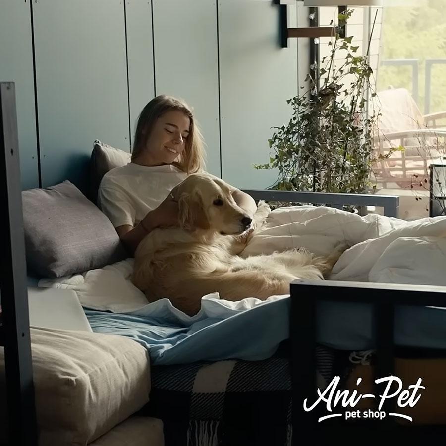 Ani-Pet – kvalitné krmivá a potreby pre vašich miláčikov